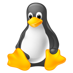 Linux (64 bit, x86_64)