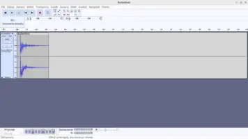 Sound in Audacity after cutting