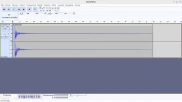 Sound in Audacity before cutting
