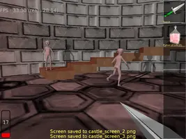 Image from "The Castle"