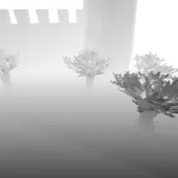 Shadow map, as seen from the light