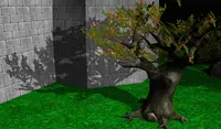 Close up shadows on the tree. Notice that leaves (modeled by alpha-test texture) also cast correct shadows.