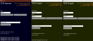 Server and 2 clients