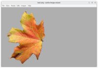 Castle Image Viewer - leaf with alpha